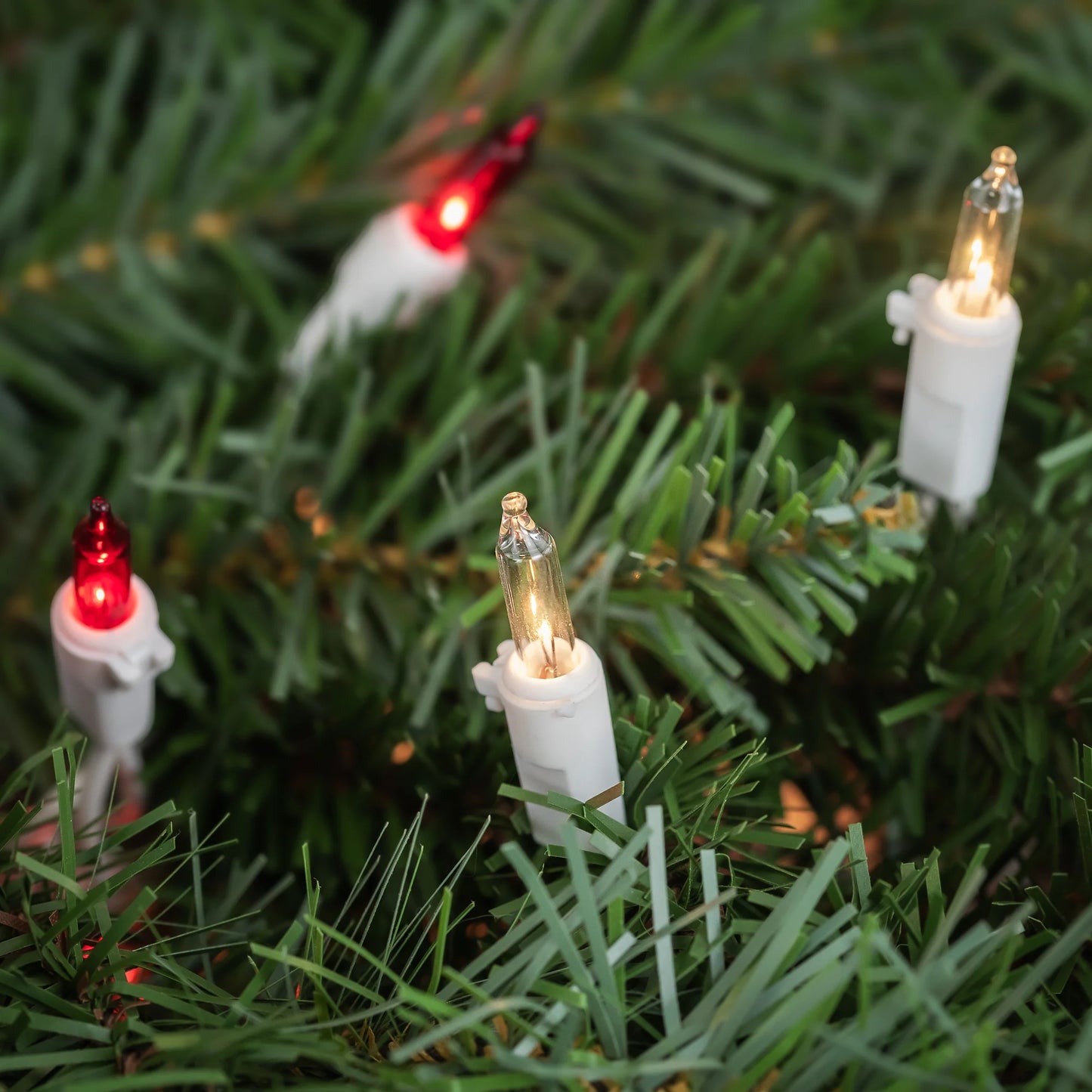 100-Count Red and Clear Mini Christmas Light Set, 20.25Ft White Wire
