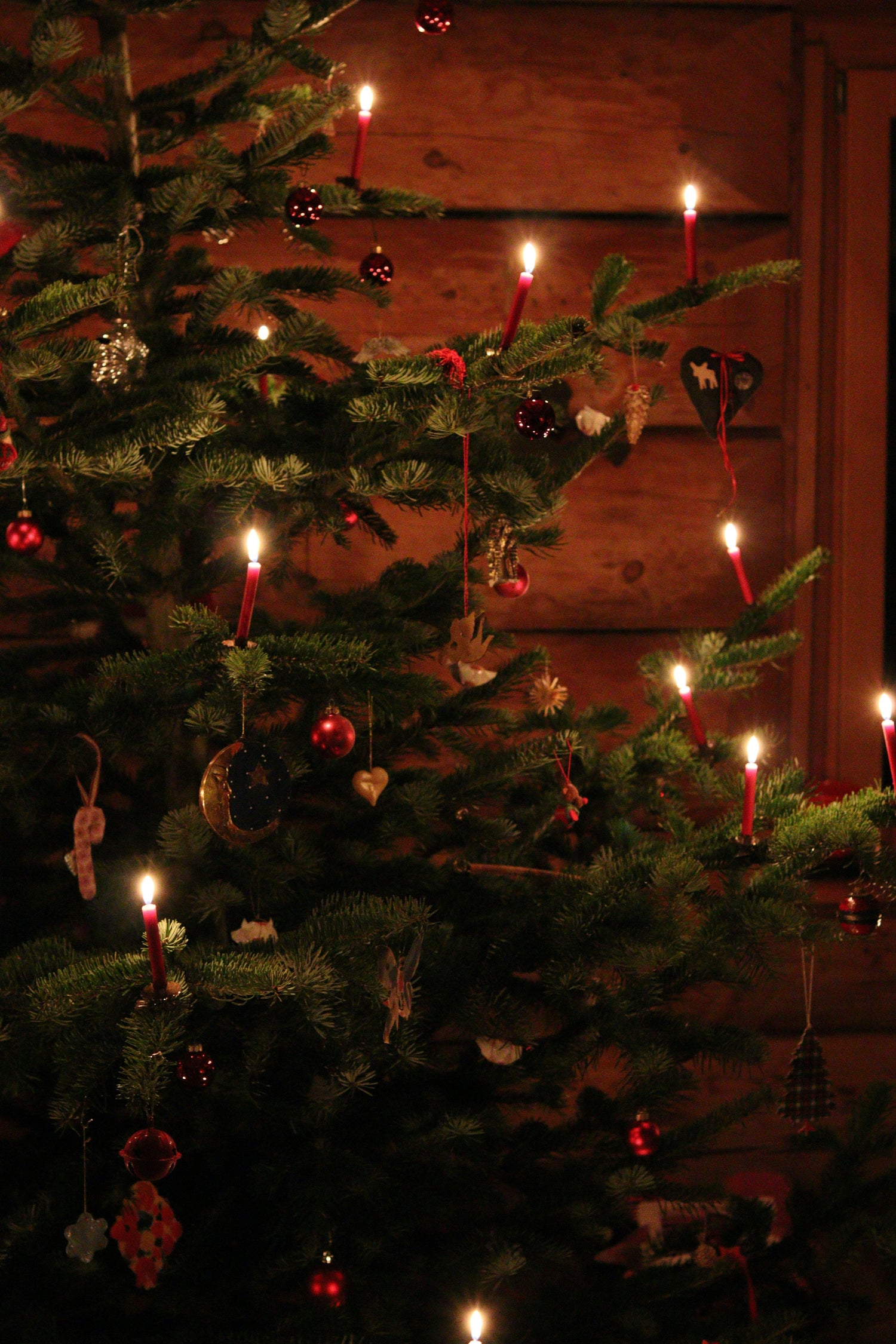 Shop Trees