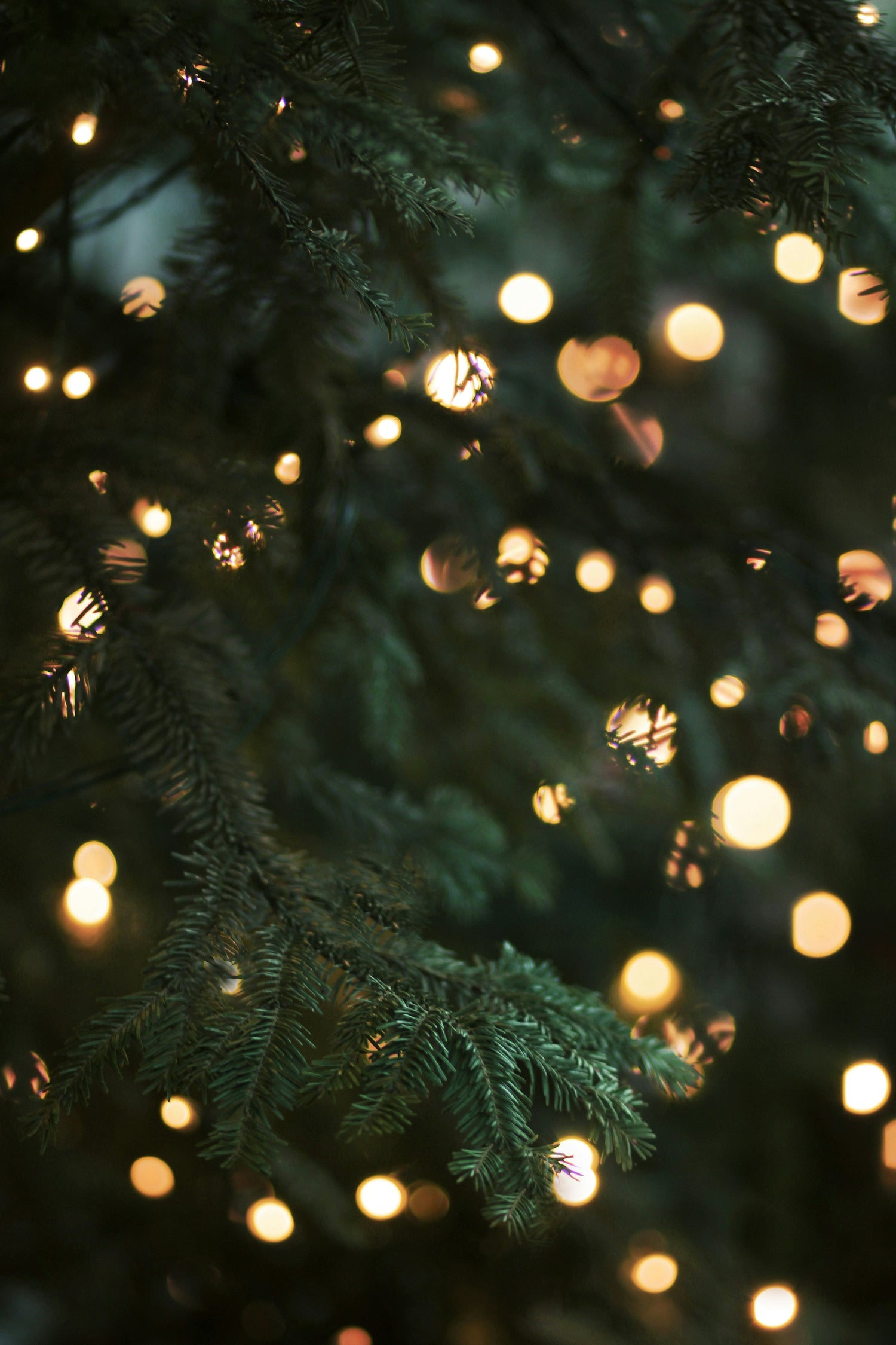 Shop Lighting